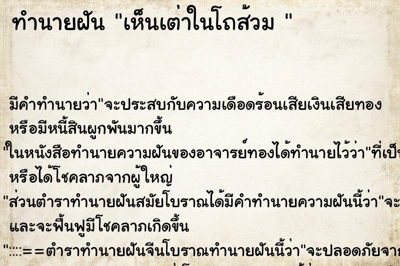 ทำนายฝัน เห็นเต่าในโถส้วม 
